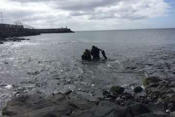 IV Open Fotosub Telde en aguas de Taliarte y Tufia (Foto TA)